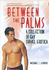 Between the Palms, from Haworth Press gay travel erotica, fantasymichael luongo gay sex tourism gay fun palm springs beaches